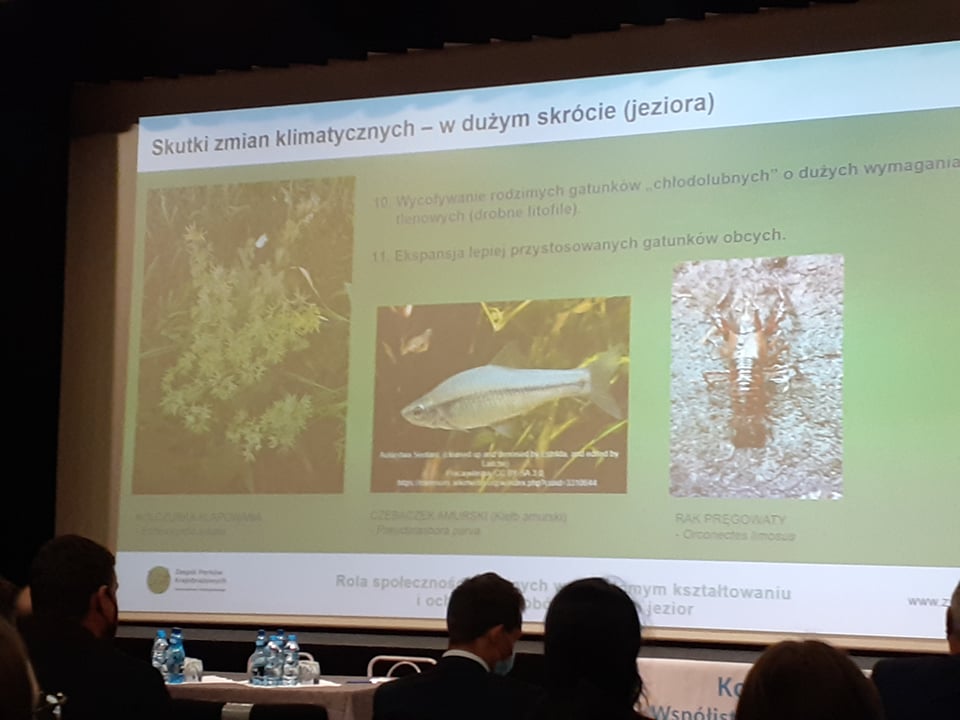 Prezentacja na projektorze zdjęcie 4